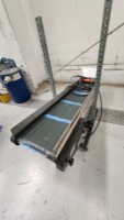 Crizaf Conveyor Section