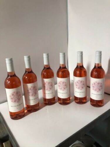 6 x 2019 Angove Rhythm & Rhyme Rose