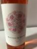 6 x 2019 Angove Rhythm & Rhyme Rose - 3