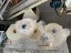 5x Rolls Plastic Wrap and 2 Mesh Baskets