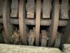 Hog Hammermill - 6