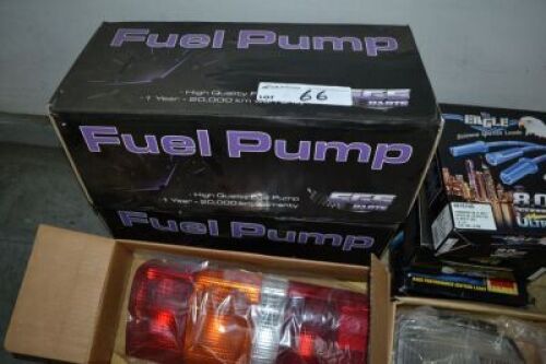 2 x SGS Fuel Pumps, 3 Eagle Ignition Lead Sets