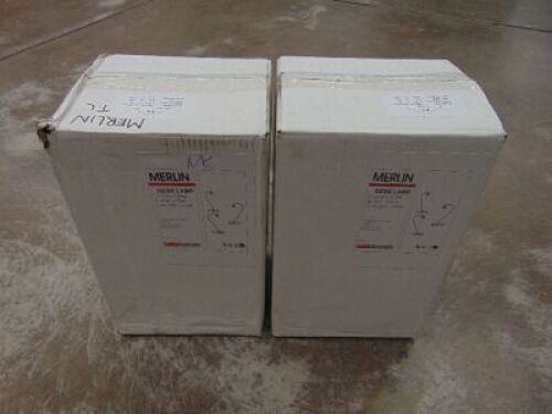 Bundle of 2x Merlin desk lamp TL-NK nickel/Chrome colour