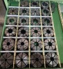 Extensive Range of Riken Collets - 3
