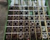 Extensive range of Riken Collets