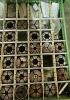 Extensive range of Riken Collets - 4