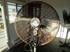 Pedestal Fan - 4
