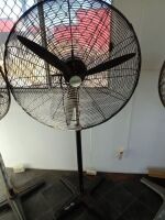 Pedestal Fan