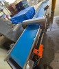 $55,000 Estimated New Cost - Loma Systems IQ4 Metal Detector Conveyor System - 7
