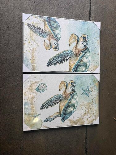Aqua Turtle shadow canvas 2 Piece (New)