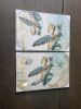 Aqua Turtle shadow canvas 2 Piece (New)