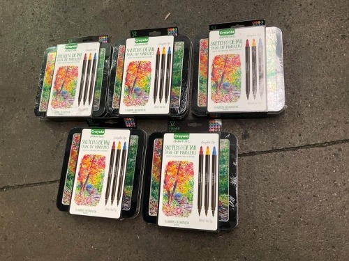 Bundle of 5 x Crayola sketch and detail Markers