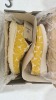 Ariat Women's Hilo Doodle 10061129 - Mustard Steer Heads - B Medium - SIze US/6 - 3