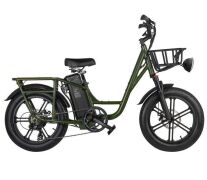 Fiido T1-Cargo Electric Bike