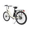 Daxys Lynx Step Through Electric Bike