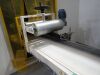 2022 Automated filling and packing line, 10kg & 30kg, Newlong sewing head and Sesotec metal detector - 22