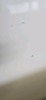 White wardrobe 2 Draws - RRP $1199 - Ex-Display - 5