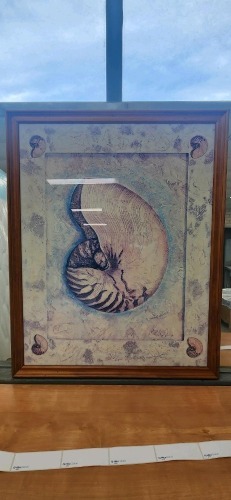 Frame Art - RRP $99 - Ex-Display