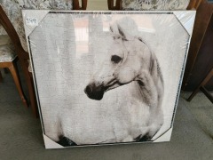 Canvas - White Horse - 850mm x 850mm - RRP $99 - Ex Display
