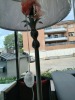 Floor Lamp, Silver Base, White Shade w Gold Accent - RRP $349 - Ex-Display - 3