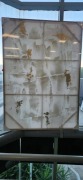Art Frame- Ex Display - RRP $1130 - Ex-Display