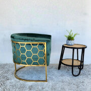 Regal House Olympia Green Velvet and Gold Frame Accent Chair RRP $1119