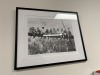 3 Assorted Framed Prints - 3
