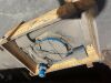 Roper No. 3 Gearbox - 3