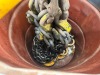Heavy Duty 4 Leg Chain Lifting Sling, 18 Ton Capacity