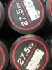 NEW - World Gym Fixed Urethane Dumbbell 27.5kg, Pair