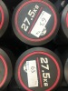 NEW - World Gym Fixed Urethane Dumbbell 27.5kg, Pair