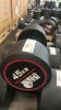 NEW - World Gym Fixed Urethane Dumbbell 45kg, Pair
