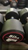 NEW - World Gym Fixed Urethane Dumbbell 50kg, Pair - 2
