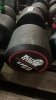 NEW - World Gym Fixed Urethane Dumbbell 65kg, Pair - 2