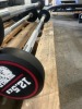 NEW - World Gym Fixed Urethane Barbell 12.5kg