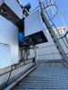 Carrot Processing Line - 6.3 T/HR - 11