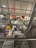 ABB Robotic Palletising Cell - 38