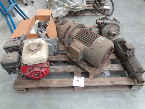 Pallet of Assorted Pumps, Honda Petrol Motor, Parker Oil Filter and Other Items