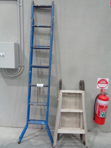 2 x Ladders