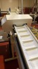 ABM Digital 805 Series Dual Gated Metal Detector, Conveyor & Hopper - 4