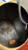 Coating Pan - 3