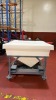 Orion Austral Industrial Hopper Bin - 2