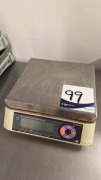 Ishida IPC Digital Weighing Scale