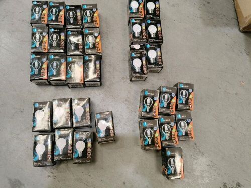 Bundle of 31 x Assorted Light Globes