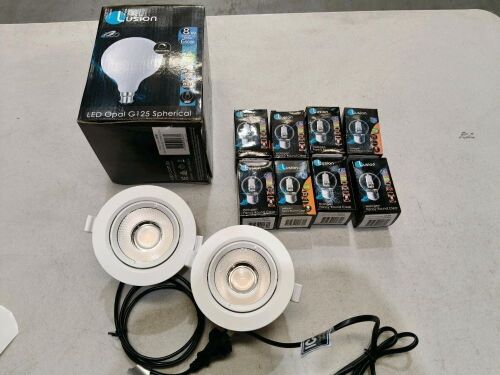 Bundle of Assorted Light Globes and Downlights