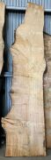 Live Edge Kiln Dried Chestnut Timber Slab, 3m x 673mm x 50mm
