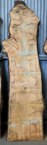 Live Edge Kiln Dried Chestnut Timber Slab, 3.16m x 700mm x 50mm
