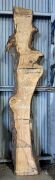 Live Edge Kiln Dried Chestnut Timber Slab, 3.74m x 497mm x 50mm