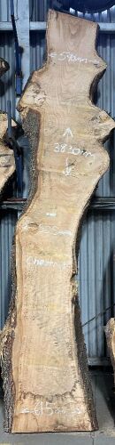 Live Edge Kiln Dried Chestnut Timber Slab, 3.83m x 560mm x 50mm