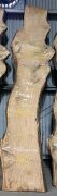 Live Edge Kiln Dried Chestnut Timber Slab, 3.76m x 743mm x 50mm